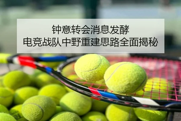 钟意转会消息发酵 电竞战队中野重建思路全面揭秘
